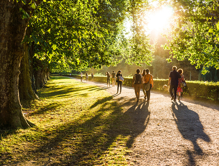 Image of people enjoying a green open space.